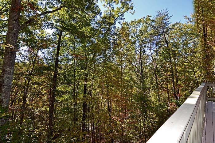 Villa Smoky Mountain Dream Gatlinburg Esterno foto